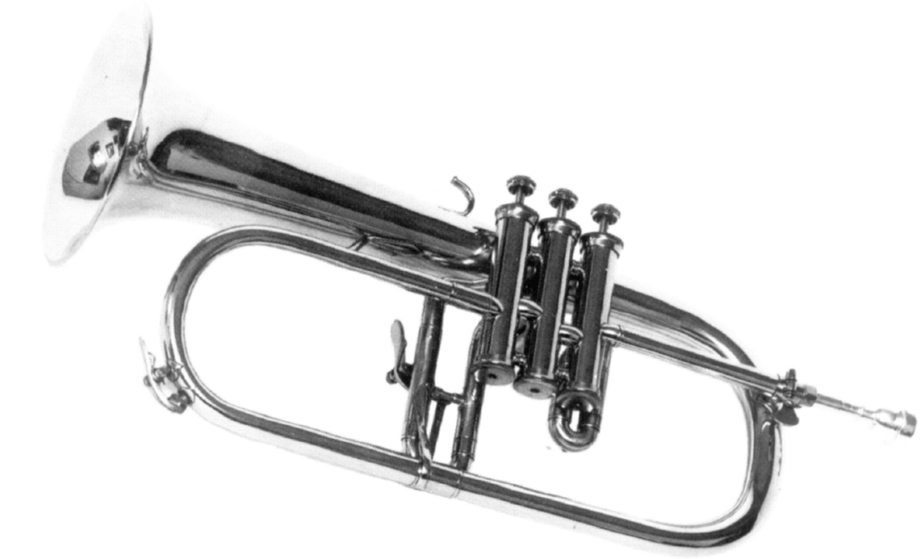 Fl&uuml;gelhorn